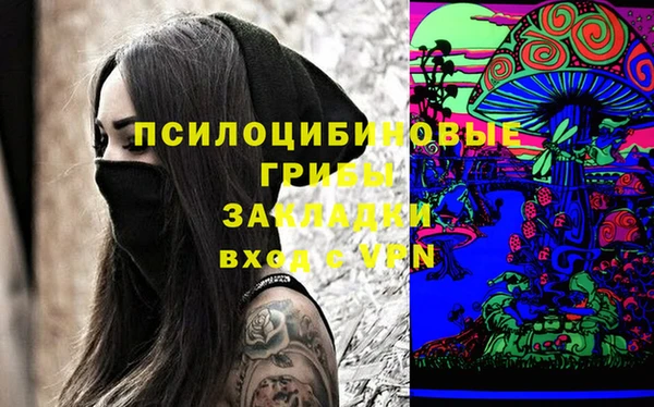 мяу мяу мука Алзамай