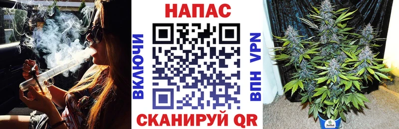 магазин  наркотиков  Новоалтайск  Канабис тримм 